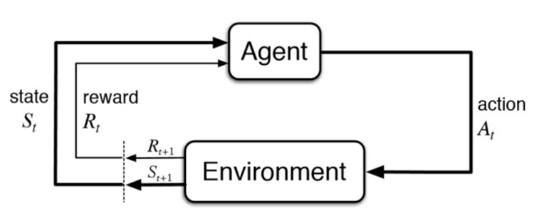 Snake Played by a Deep Reinforcement Learning Agent